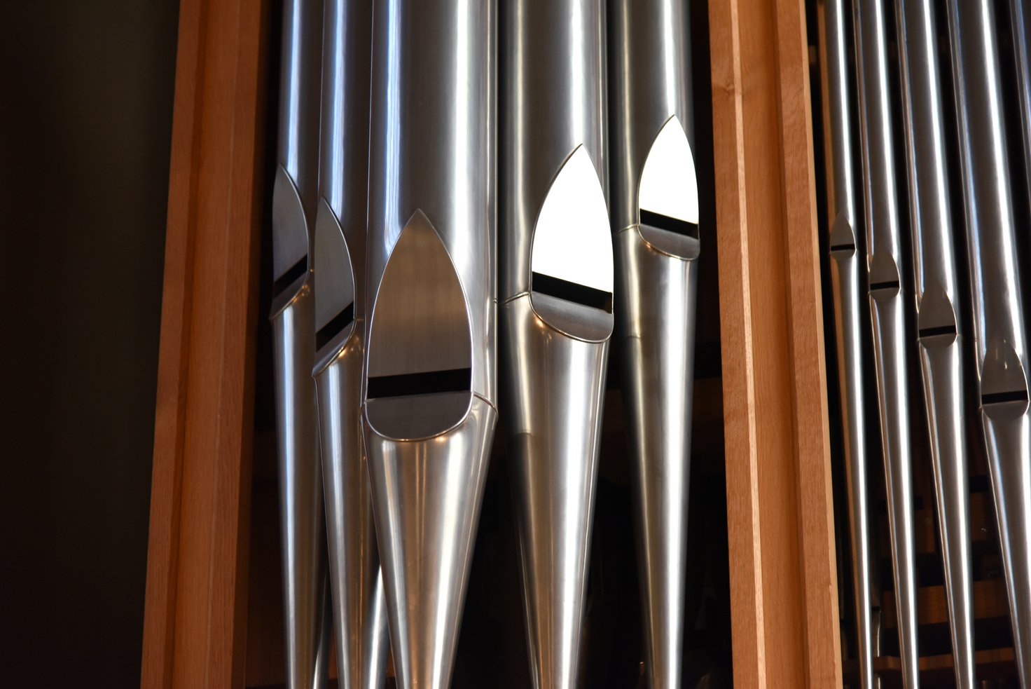Organ Pipes
